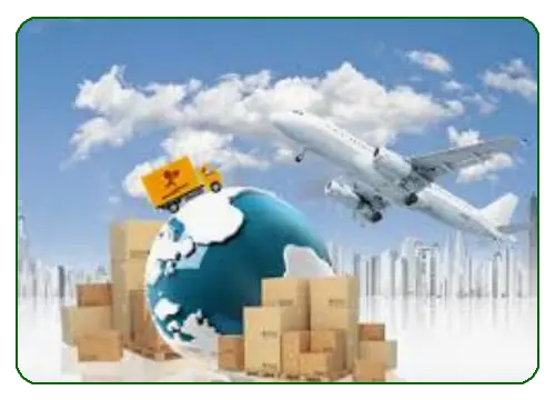 Fast-Delivery